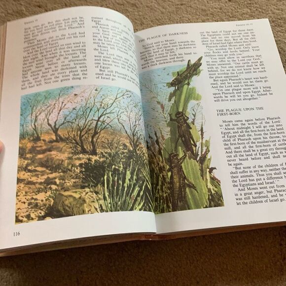 The Golden Children’s Bible 1993 Colorful Illustrated Old And New Testament - Picture 8 of 12